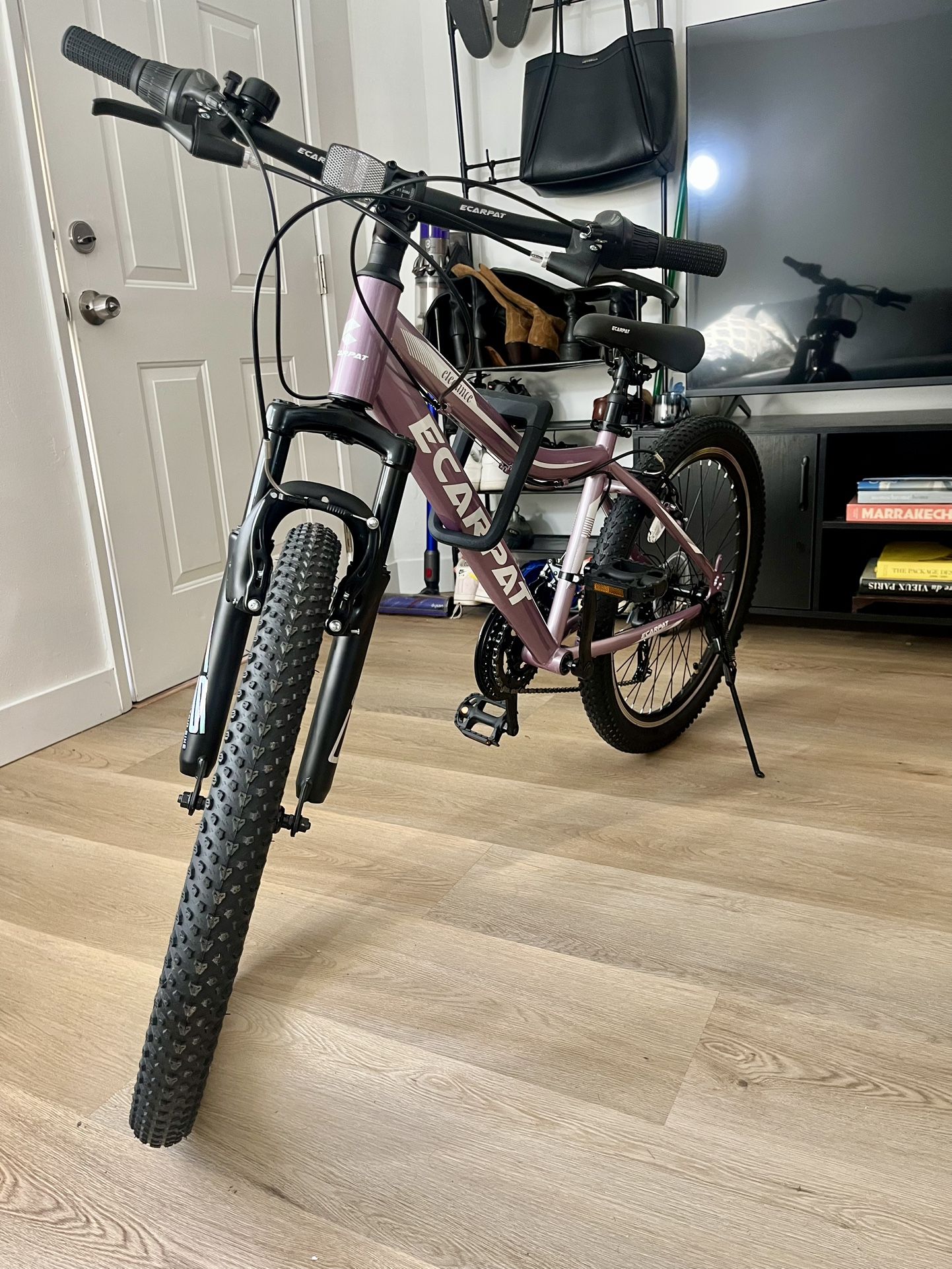 Ecarpat Mountain Bike Pro - Purple