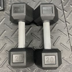 20 pound dumbbell pair. REP Fitness.