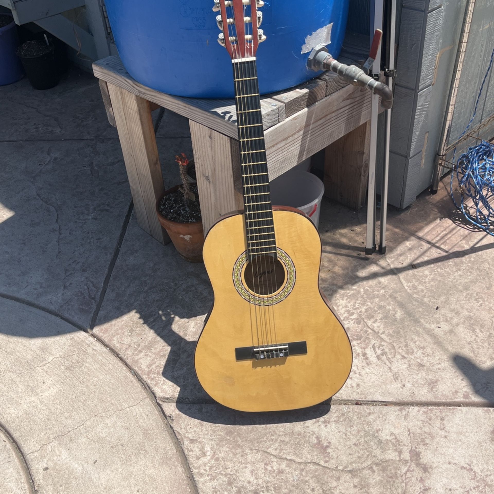 Lyons Nylon Guitar