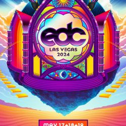 EDC VIP Ticket -wrist Band