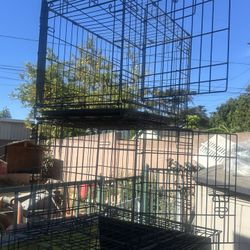 Dog crates different sizes