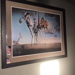 Custom framed salvador Dali lithograph