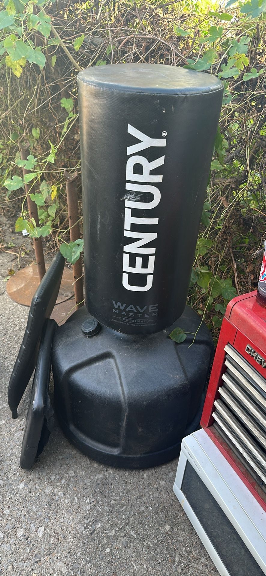 Century Punching Bag