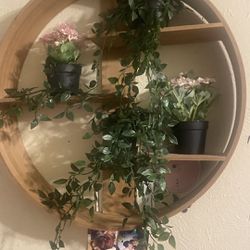 Wall Art / Fake Plants 