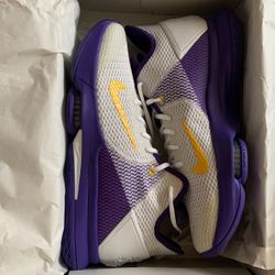 Lebron James Shoes 