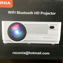 20 $ projector