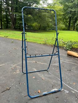Lacrosse rebounder and goal