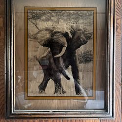 D Curry 1976 3D Art Elephant 