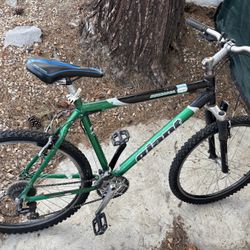 Giant mountain bike
