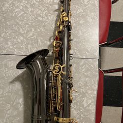 Alto Saxophone, Intermediate - Selmer La Voix - Nickel Black