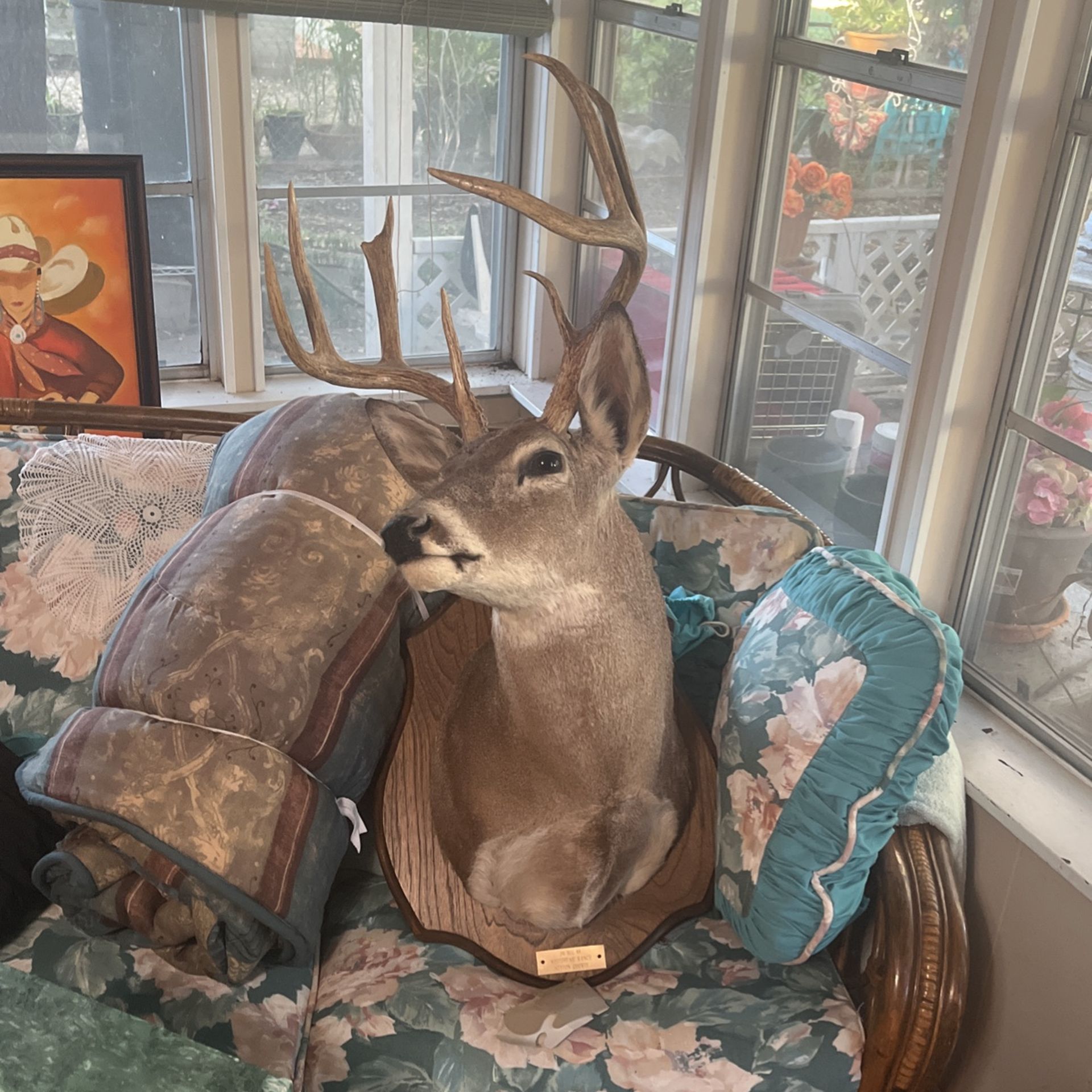 Taxidermy White Tail Deer Head