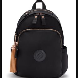 Kipling Backpack 