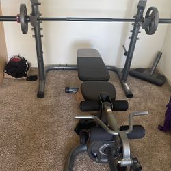 Gym Equipment 