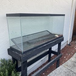 Big Fish/reptile Tank