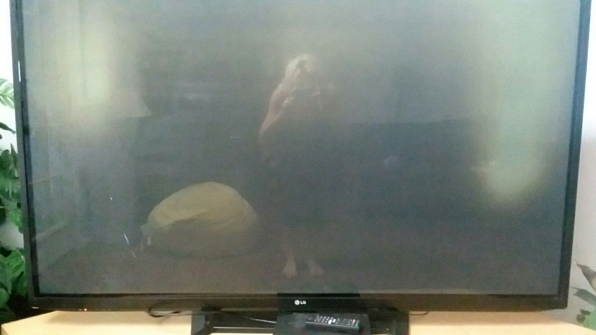 LG TV & blueray DVD player & 9movies
