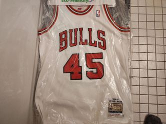 1994-95 Michael Jordan Mitchell and Ness throwback