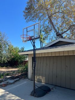 Lifetime Adjustable Portable Basketball Hoop