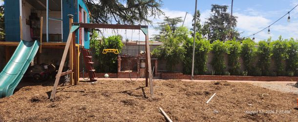 Free Swing