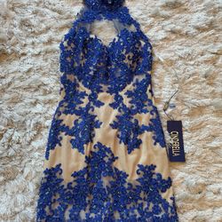 Elegant nude mesh dress, royal blue lace and sequins, perfect for formal events