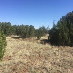 LAND / Lot Own A Piece Of Heaven ,For Sale Buy Owner, 1/3 Acer  ,Paved ,Lake , Electric ,Water,  (For Sale Buy Owner ) 