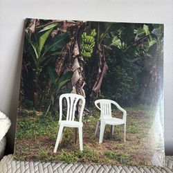 Bad Bunny DTMF Vinyl