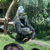 Anthony 