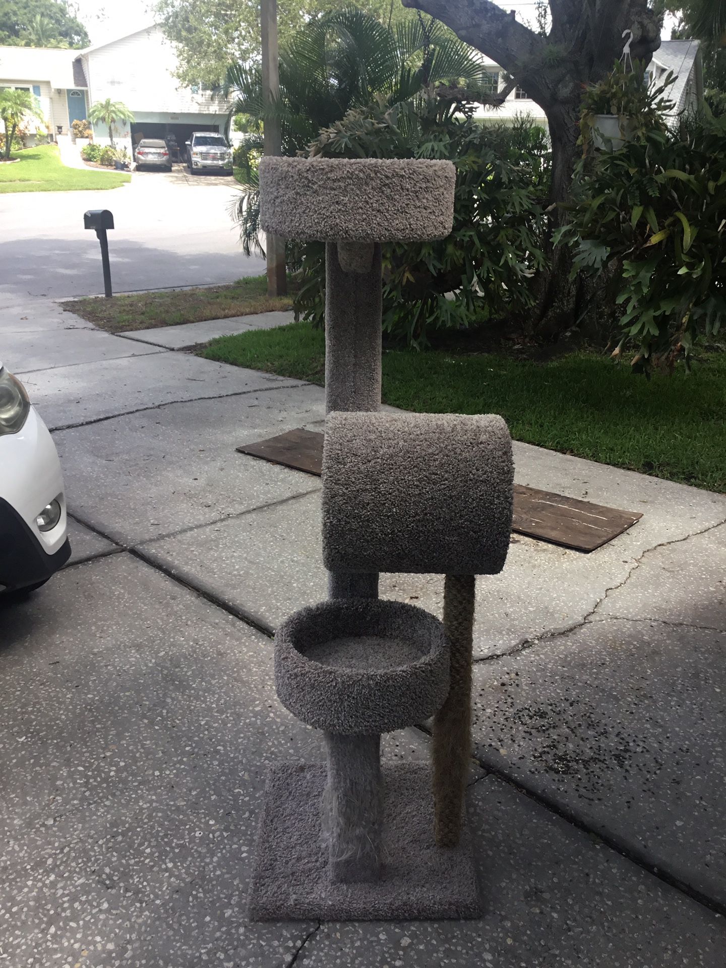 Cat Tower