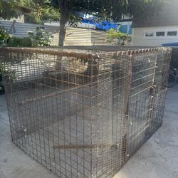Animal Cage Bird Chicken 
