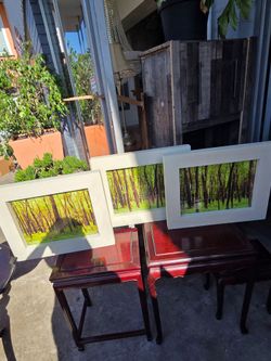 Forest-themed 3-panel wall art