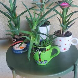 4 Whimsical Succulent Planters + Wicked