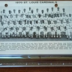 1970 St Louis Cardinal Postcard