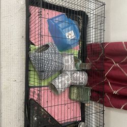 Guinea Pigs With Cage And Supplies 