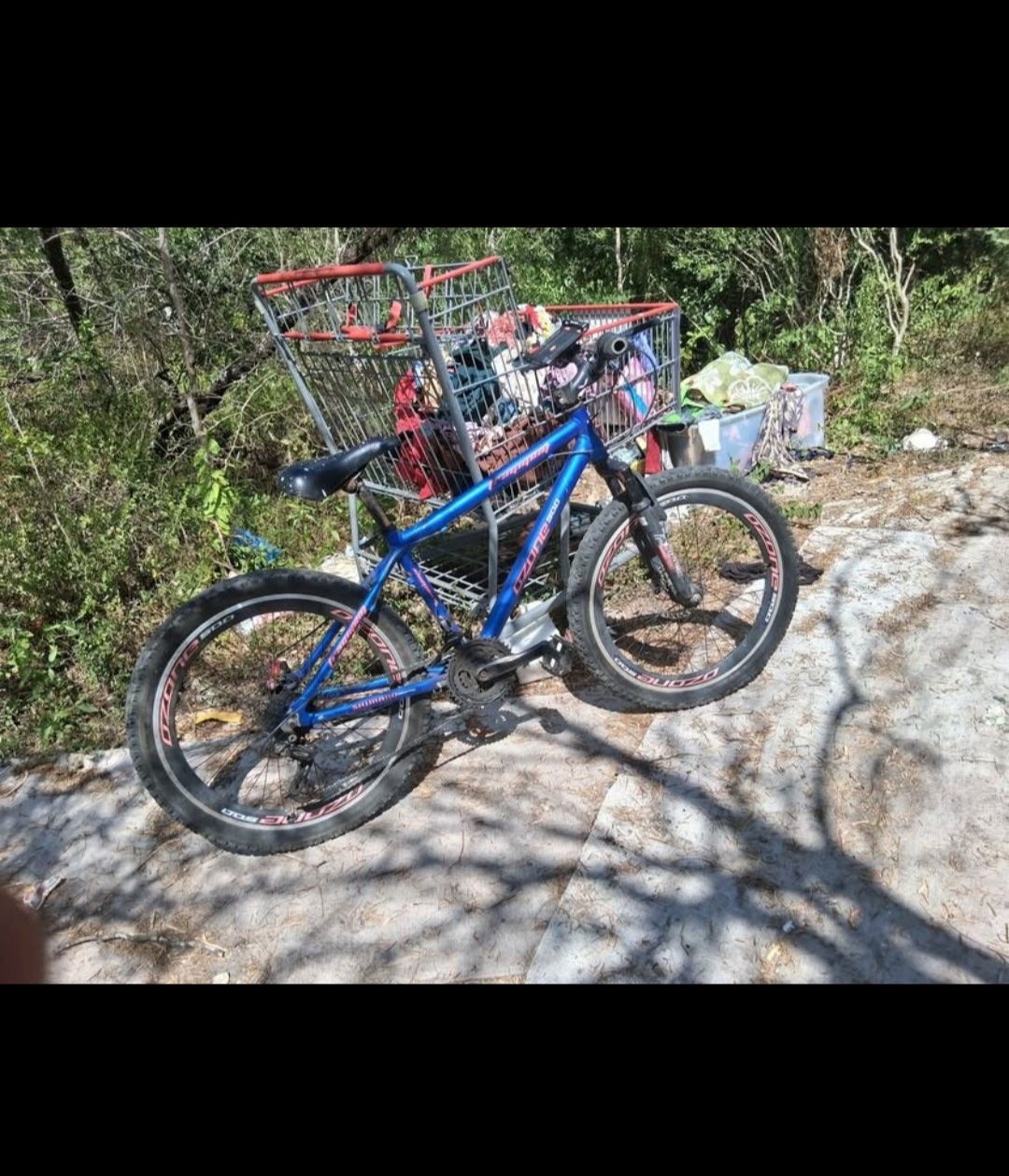 Ozone Visual Ozone for Sale in San Antonio, TX - OfferUp