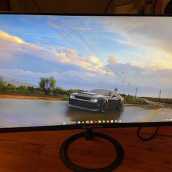 Gaming Monitor