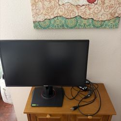 Computer Monitor 