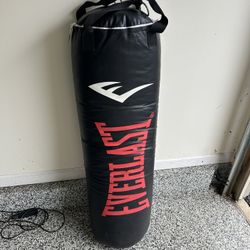 Everlast Punching Bag