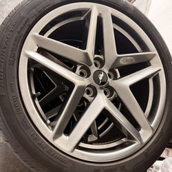 Mustang Tires Stock Tires