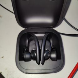 Powerbeats Pro True Wireless Bluetooth Earphones

