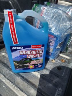 Windshield washer and bug remover