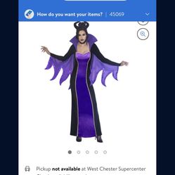 Halloween Costume (4-6)