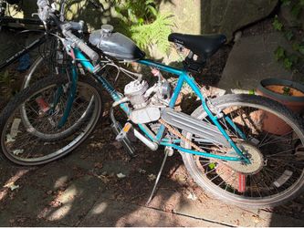 77 CC Gas Powered Bike