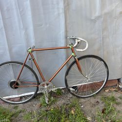 Fiji Vintage Bike