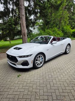 2024 Mustang GT premium wheels and tires