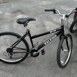 Raleigh C30 Mountain Bike 