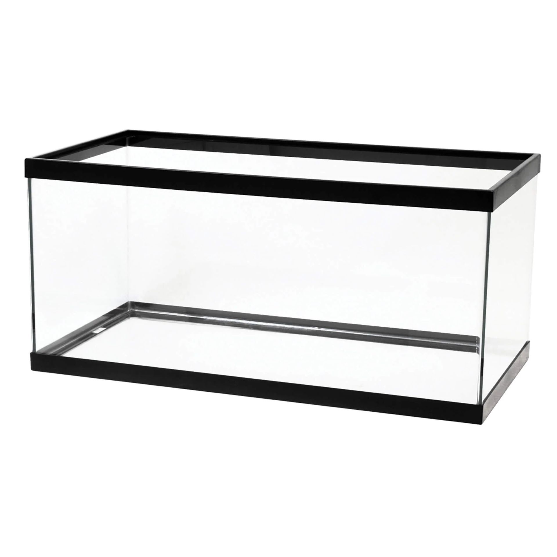 40 Gallon Fish Tank 