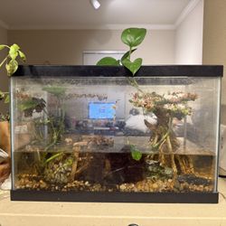 Tank W Everything In It 