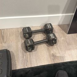 20 Pound Dumbbells