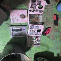 Collector Barbie's 