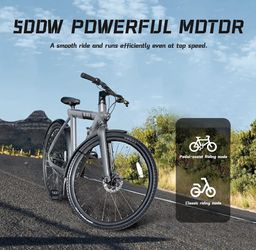 Bird E-Bike With 2 EXTRA BATTERIES