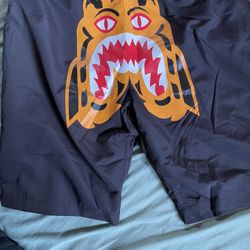 Bape Shorts